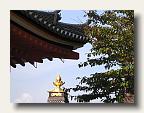 The spectacular Kiyomizu complex. IMG_6323